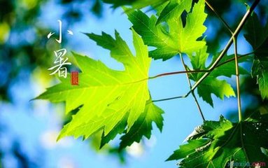 2017年7月7日 小暑(六月十四 星期五)(资源网络) - 东方.旭(青岛) - 东方.旭在青岛的博客 2017年7月7日 小暑(六月十四 星期五)(资源网络) - 东方.旭(青岛) - 东方.旭在青岛的博客