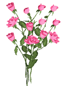 手机金鱼动态壁纸