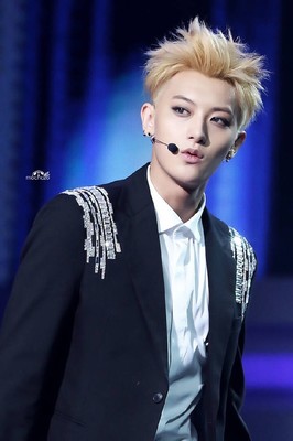黄子韬 TAO EXO 2015.1.… 黄子韬 TAO EXO 2015.1.…