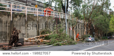 ars fallen branches from a car. A minitornado s ars fallen branches from a car. A minitornado s