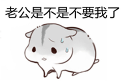叫老公表情包