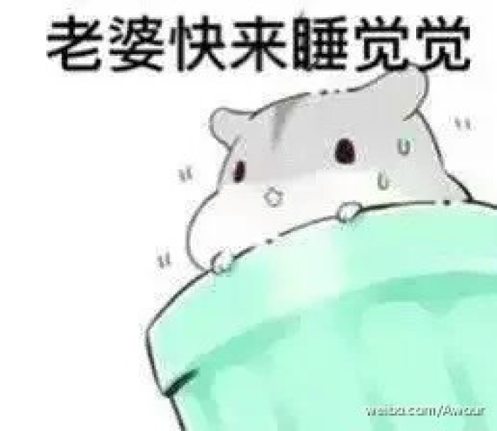 老婆快来睡觉表情包