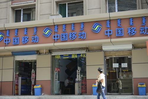 呼和浩特儿童商城_成都微信商城建设_呼和浩特微商城建设