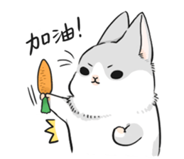 line小灰兔子qq表情包分享展示