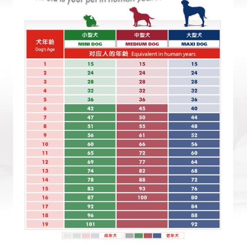 空之境界小说适合什么年龄看_看年龄的软件_厚黑学适合什么年龄看