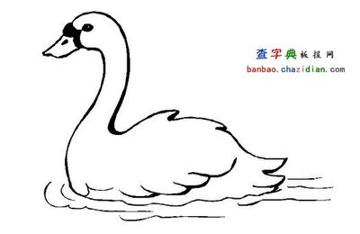 天鹅的简笔画-动物简笔画 - 查字典板报网-18kb