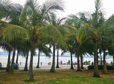 去,我们的旅行。穿越川渝黔贵粤闵 去,我们的旅行。穿越川渝黔贵粤闵