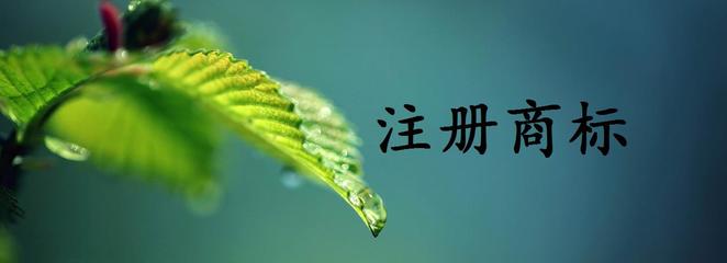 商標(biāo)屬于專利嗎？專利和商標(biāo)的區(qū)別是？