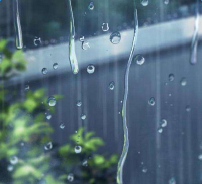 写雨中草的优美句子