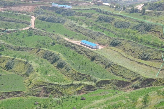 【秦安吧】百度贴吧